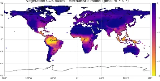 Figure 5. Map of average vegetation COS fluxes over the 2000–2009 period, from the mechanistic model as implemented in ORCHIDEE.