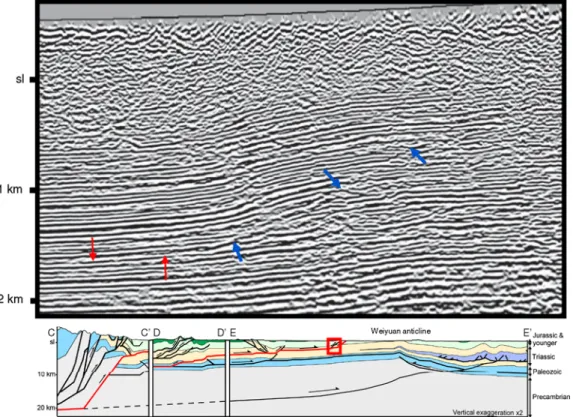 Figure 4. Sample seismic reflection profile crossing the Longquan anticline. Thick arrows point to the location of the thrust fault; thin arrows pick out the detachment