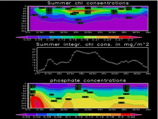 Figure 10. Cross section at longitude 28.5°E. (Top) Summer distribution of chlorophyll  concentrations (mg/m 3 )