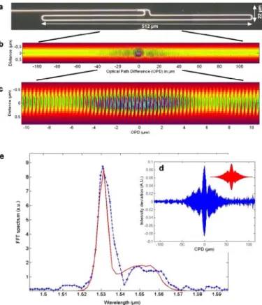 Figure 2 s-SNOM observation of an interferogram in a waveguiding structure. a, Top optical view of the  interferometric component