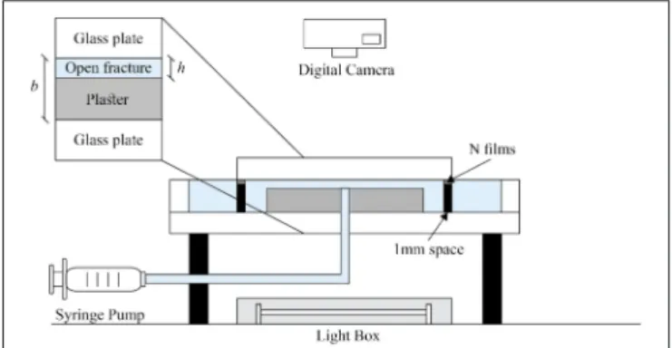 FIGURE 1 | Schematic diagram of the experimental setup. A circular Hele-Shaw cell (spacing 1 mm) contains a plaster plate with a small gap h above the plaster upper surface