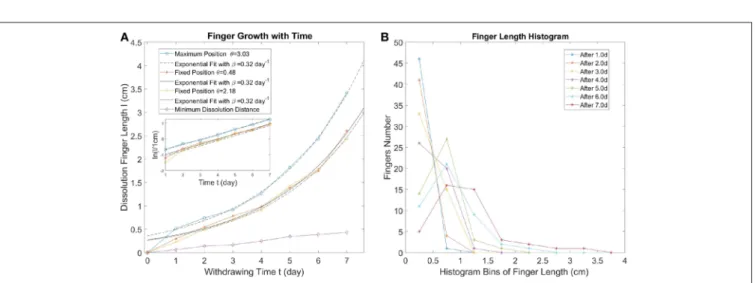 FIGURE 4 | (A) The finger length evolution with time. The longest finger and two second longest fingers growth with time are displayed