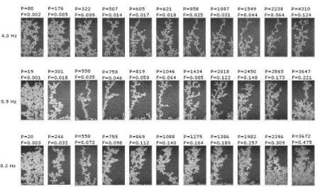 Figure 6. Breakthrough images of all experiments. The numbers above individual images indicate the amplitude of the pressure oscillations given in Pa (top row) and the fragmentation number (F ) in the bottom row