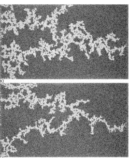 Figure 11. Comparison of two finger-like structures achieved at F = 0.018 (a) and F = 0.025 (b) in the 4 Hz series