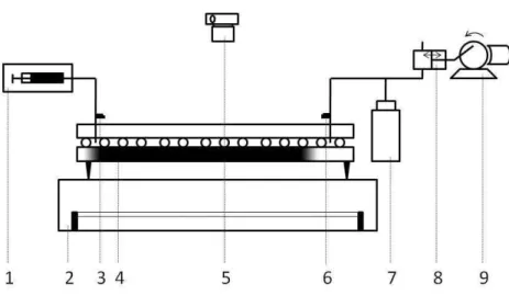 Figure 1. Schematic view of the vertical cross-section of the experimental setup. 1) syringe pump, 2) light box, 3) outlet pressure sensor, 4) porous matrix and the water cushion on the bottom, 5) camera, 6) inlet pressure sensor, 7) container for pressure
