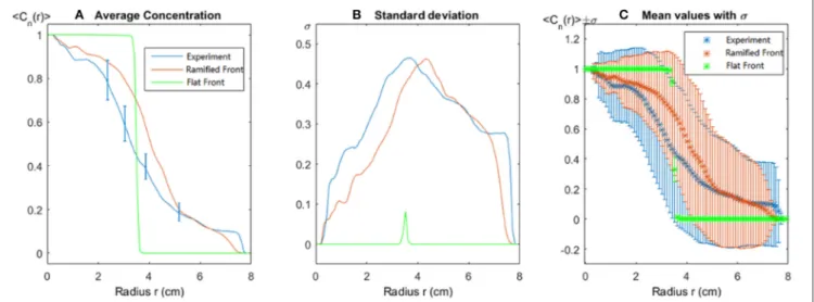 FIGURE 8 | Spatial dependence of structure as function of the circle radius. (A) The normalized average concentration, the error bar comes from experimental measurement for fluid tracer concentration according to the calibration performed in Supplemental D