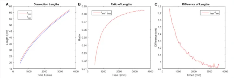 FIGURE 11 | Evolution of characteristic length scales in the system with time. (A) The maximum and minimum convection length evolution with time