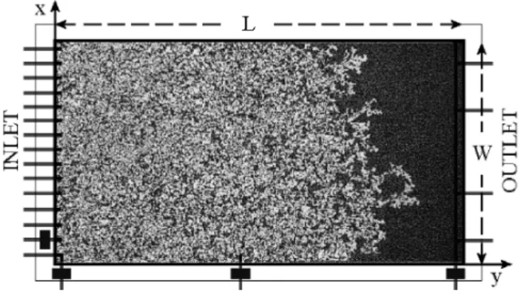 FIG. 1: Depicted inside the model frame (L × W =85 × 42 cm 2 ) is the initial transient stage of an experiment