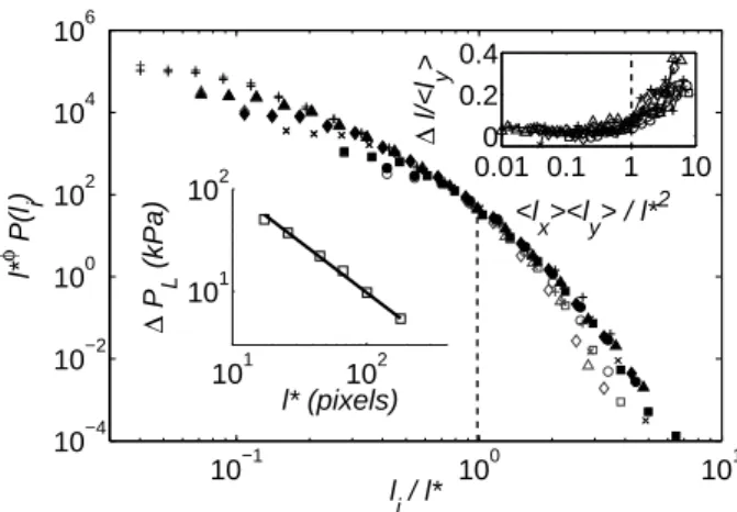 FIG. 3: Air cluster extension length distributions P (l y ) (filled markers) and P(l x ) (empty markers), collapsed by the  rescal-ing l ∗φ P (l i ) vs