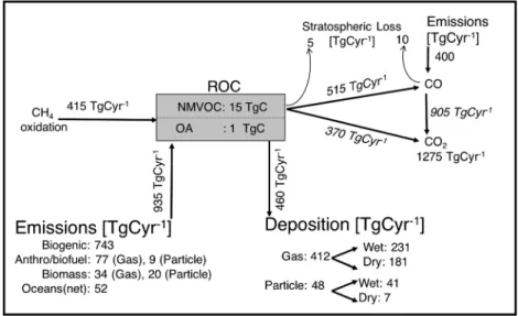 Figure 3 provides a process-based quanti ﬁ cation of the global ROC budget diagnosed from our GEOS-Chem simulation