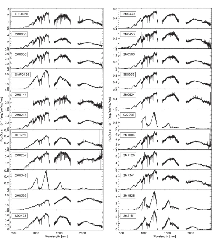 Figure B1. Spectra of our 22 targets after reduction and degrading them at R ∼ 1000. Wavelengths largely affected by telluric absorption are removed from the figure in the NIR, as well as the optical part for object Gl229B, because it is contaminated by th