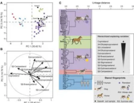 Fig 3. Identification of soil faecal fingerprints from the contemporary Tofa (Sai ͡ an Mountains) camp by multivariate analyses on eleven 5β-stanol distributions.