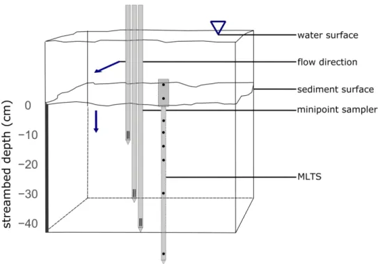 Figure 1 Experimental setup showing the three minipoint sampler installed in 10 cm, 30 cm and 40 cm depth  in the hyporheic zone (HZ)