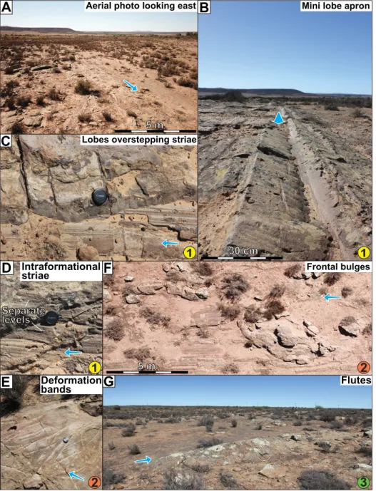 Figure 3.  Photographs of Oorlogskloof glacial pavement (South Africa), with interpreted direc- direc-tion of ice advance shown by the blue arrow in each case