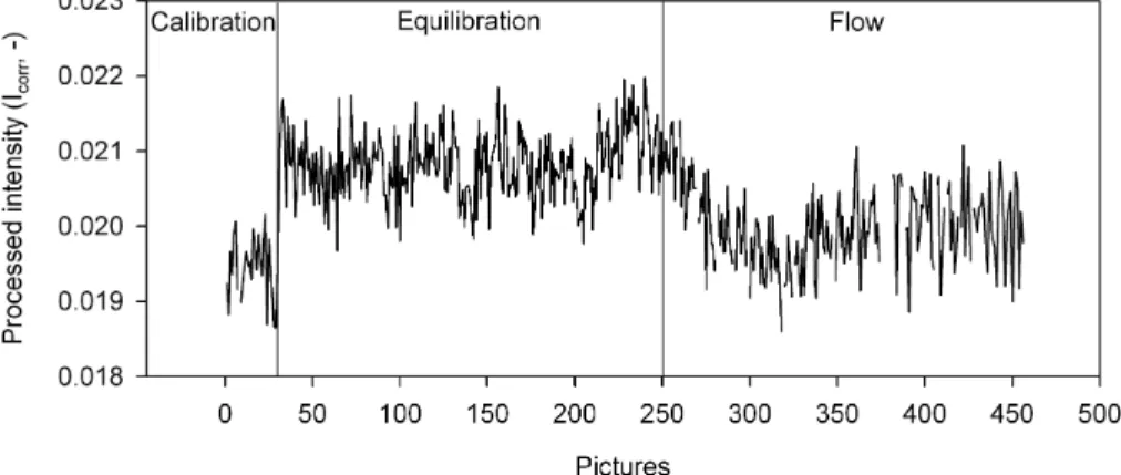 Fig. 8. Intensities of P1 (however without mask) where no concentration changes occur during the flow phase of the density flow experiment (constant concentration of 100 g/l).