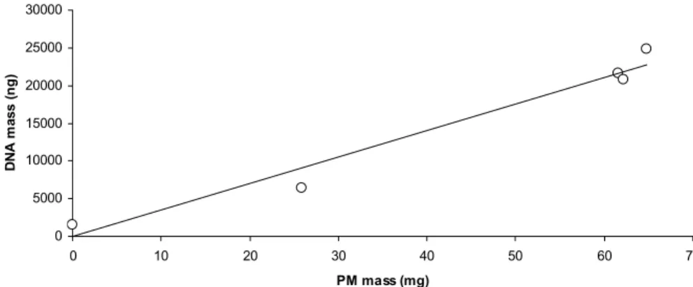 Fig. 1. DNA vs. PM mass in urban fine particulate matter (PM2.5). Correlation of particle mass and DNA mass found in urban PM2.5 samples (Munich, February–May 2005); correlation coe ffi cient 0.98.