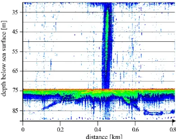 Fig. 2. Hydro acoustic image of a methane plume reaching from the sea floor to the sea surface
