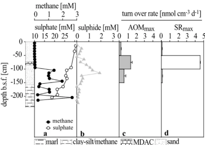 Fig. 6. Station 1860. (a) Methane and sulphate concentrations de- de-cline at depth of carbonate bearing sediments (70 cm b.s.f.)