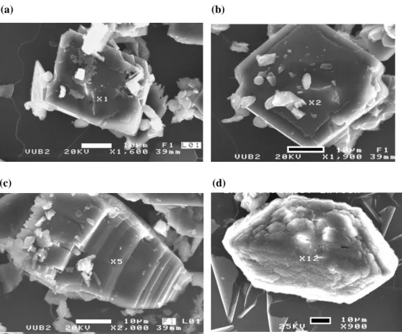 Fig. 11. SEM images of free crystals extracted from the EPS layer showing platy habits (a, b) and coffin shaped habits that are either distorted pyramidal or typical monoclinic 2/m symmetry forms (c, d)