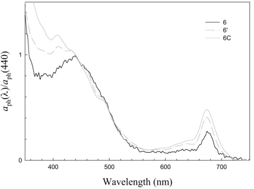 Fig. 4. Surface α ph normalized at 440 nm at Sta. 6 and Sta. 6C. Sta. 6C was sampled during the second cruise leg when Sta