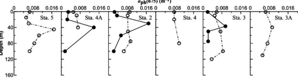 Fig. 7. Vertical distribution of α ph (675) on the outer shelf/slope of transect A. Observations in May 2001 and November 2002 are represented with bold and open circles respectively.