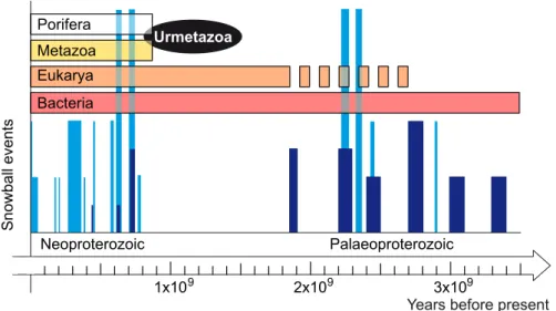 Fig. 2. Frequency of occurrence of major glacial periods (blue). The appearance of the different organismic groups [Bacteria; Eukarya;