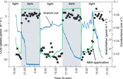 Fig. 2. Exchange (negative=uptake) of carbonyl sulfide (COS. filled squares) in relation to branch conductance (blue line) and CO 2 exchange (green line) for Holm oak (Quercus ilex L.).