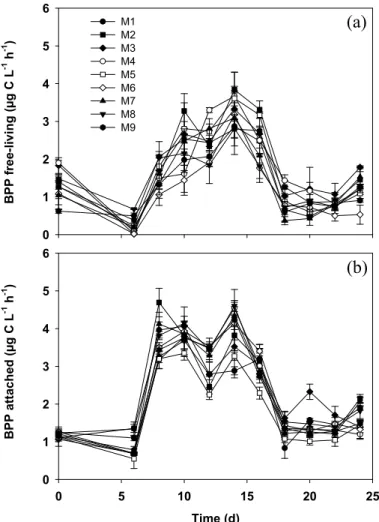 Fig. 2. Bacterial protein production (BPP) of (a) free-living (≤5.0 µm≥0.2 µm) and (b) attached bacteria (≥5.0 µm)