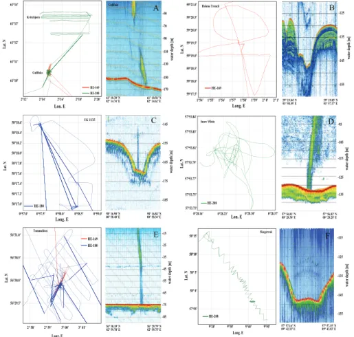 Fig. 2. Survey tracks and exemplary SES-2000 echo images showing gas flares and sea floor structures of the sites Gullfaks with the ‘Heincke’ seep area (A), Holene Trench (B), Scanner pockmark (UK 15/25 field) (C), Snow White’s Hole (D), Tommeliten (E) and