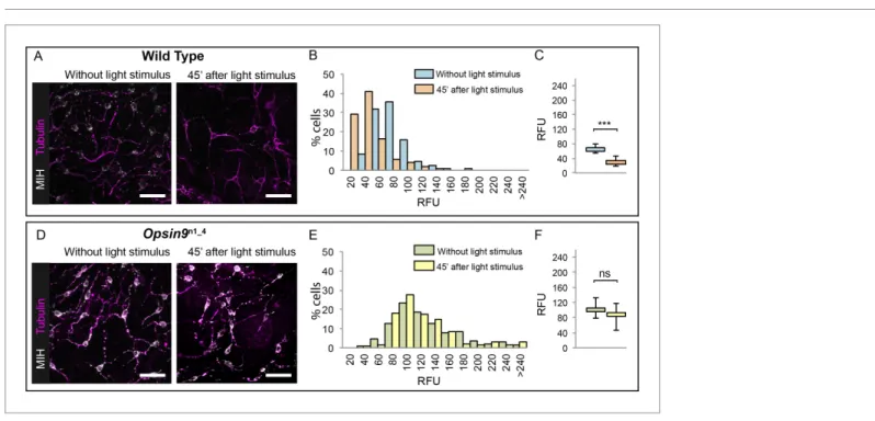 Figure 3 continued
