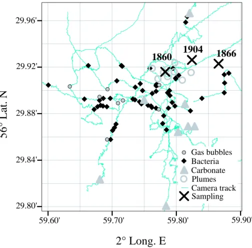 Fig. 1. A chart of the survey area at Tommeliten showing sampling positions of vibrocoring, sea floor and hydroacoustic observations.