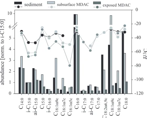 Fig. 9. Abundance (bars) and stable carbon isotope composition (circles) of fatty acids ex- ex-tracted from sediments and MDACs at the sulphate-methane transition zone (155 cm b.s.f.) of core 1904 and from surface MDACs recovered by a ROV