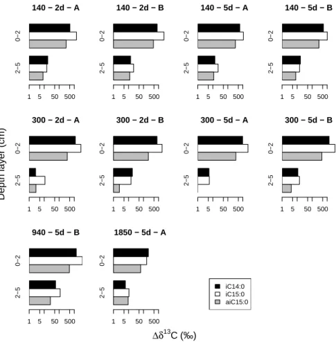 Fig. 7. Specific uptake of 13 C into bacterial fatty acids in two depth layers at all stations during the post-monsoon cruise