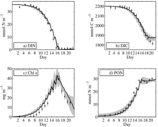 Fig. 3. Optimised model results. All solid black lines indicate the best solution obtained from optimisation with the original data set