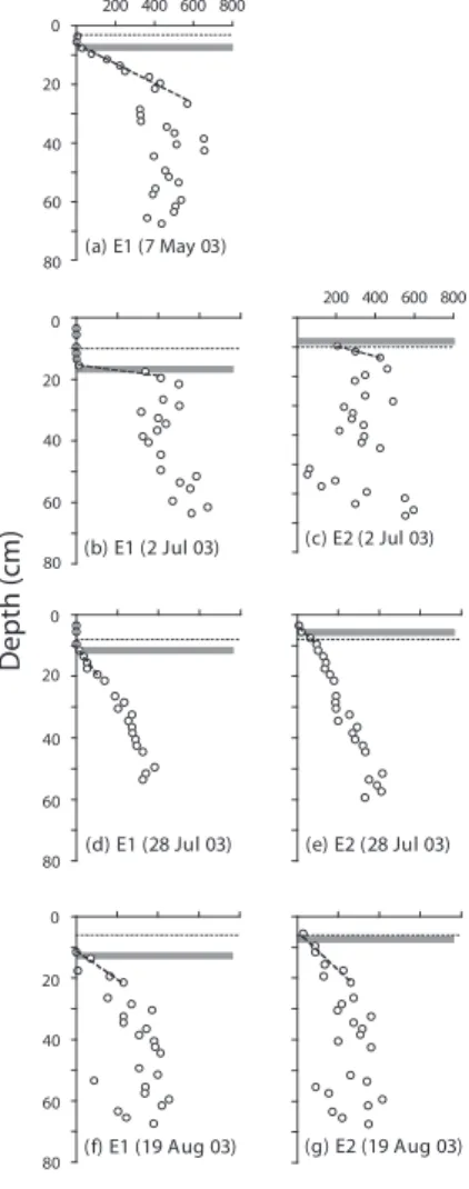 Fig. 3. Pore water profiles of dissolved CH 4 measured at Crymlyn Bog during the  sum-mer of 2003 from pore water equilibrators E1 and E2