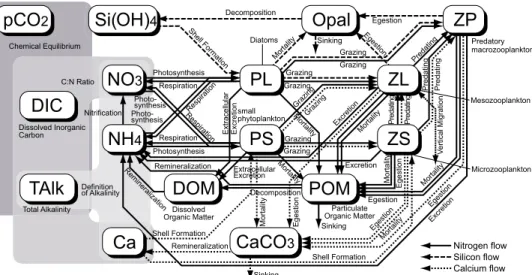 Fig. 1. Schematic view of the sixteen-compartment marine ecosystem model after Fujii et al