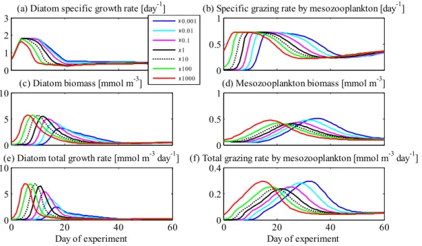 Fig. 8-1. Time series of modeled surface (a) diatom specific growth rate [day −1 ], (b) specific grazing rate on diatoms by mesozooplankton [day −1 ], (c) diatom biomass [mmol N m −3 ], (d) mesozooplankton biomass [mmol N m −3 ], (e) diatom total growth ra
