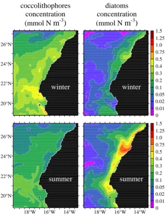 Fig. 5. Model distribution of coccolithophores (left col.) and diatoms (right col.) in winter (top) and summer (bottom) at the sea surface, in mmol N m −3 .