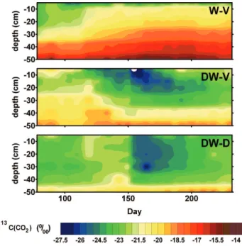 Fig. 2. Values of δ 13 C of CO 2 measured in the soil gas phase (saturated and unsaturated) of W-V (top), DW-V (middle) and DW-D (bottom)