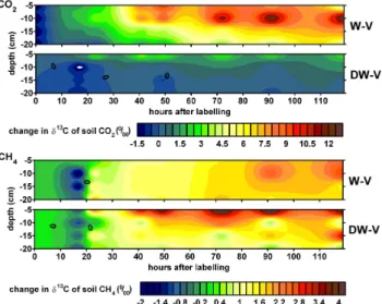 Fig. 3. Absolute changes in δ 13 C (‰ vs. V-PDB) of soil CO 2 and CH 4 in the vegetated wet treatment W-V and drying/wetting treatment DW-V after application of the 13 C-CO 2 pulse label (time = 0 h).