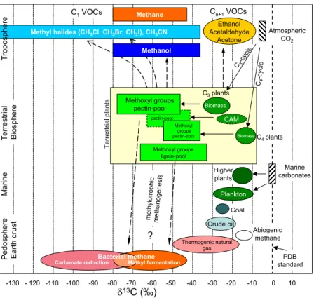 Fig. 2. Schematic diagram displaying 13 C depletion of methoxyl groups relative to bulk biomass of terrestrial plants and their relationship to biospheric C 1 and C n + 1 VOCs