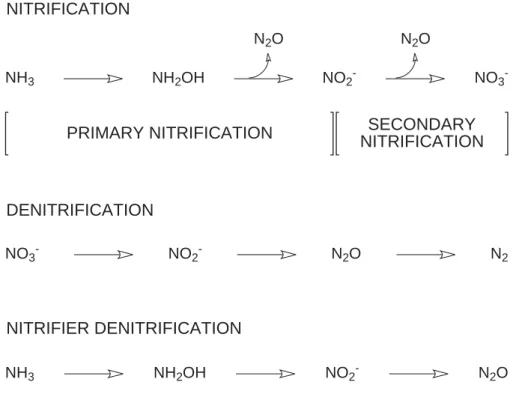 Fig. 1. Outline of di ff erent pathways of nitrous oxide production. Adapted from Wrage et al