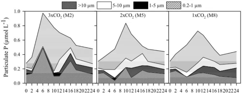 Fig. 1. Responses in concentration (µmol L −1 ) of size-fractionated particulate P.