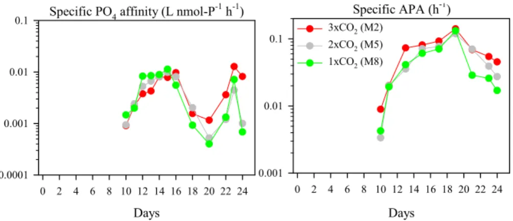 Fig. 5. Responses of specific phosphate a ffi nity (L nmol-P − 1 h − 1 ) (left) and specific APA (h − 1 ) (right).