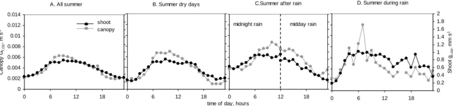 Fig. 6. Diurnal patterns of ozone deposition at canopy and shoot scales under different weather conditions