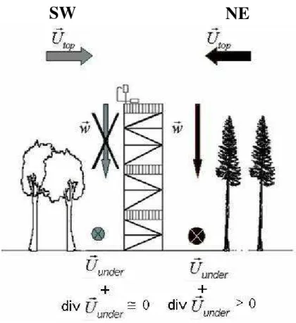 Fig. 8. Schematic representation of the two types of general flow patterns above and in the forest in nocturnal stable conditions