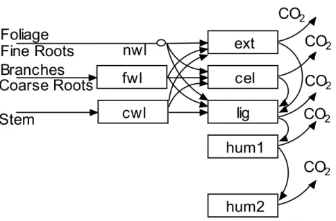 Fig. 1. Model Structure of the Yasso Model (Liski et al., 2005). The pools on the left side describe woody litter that becomes available for decomposition after a delay (nwl: non-woody litter, fwl: fine woody litter, cwl: coarse woody litter)