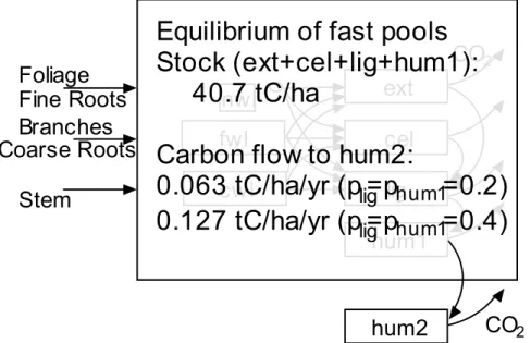 Fig. 2. Relaxed equilibrium assumption: all pools are assumed to be in equilibrium except the slowest pool (hum2)