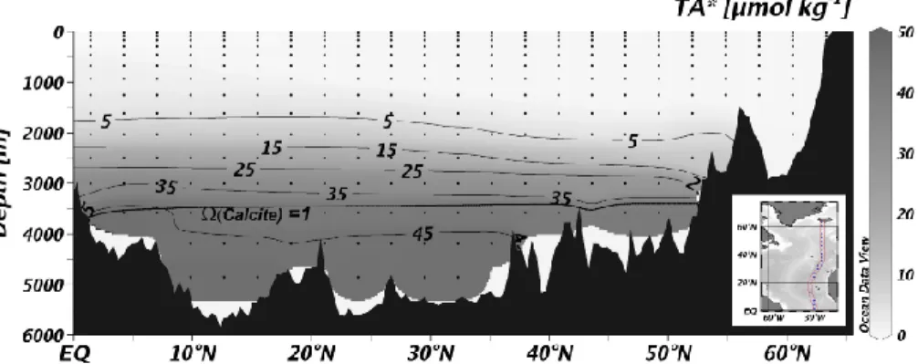 Fig. 7. Model results from the MIT gcm, output as annual mean. Meridional section of excess alkalinity, TA*, and the saturation horizon of calcite in the North Atlantic along A16