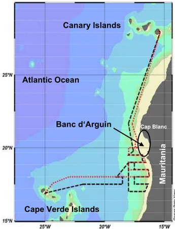 Fig. 1. Cruise tracks of P320/1 (black, March/April 2005) and P348 (red, February 2007) in the eastern tropical North Atlantic Ocean.